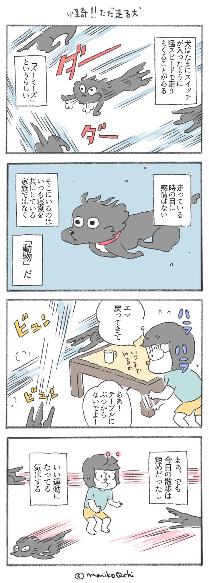 犬と暮らせば【第219話】