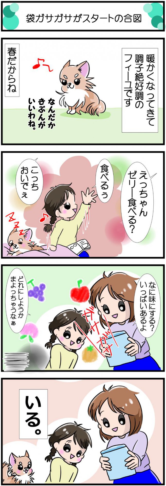 かわうそちわわ。【その551】