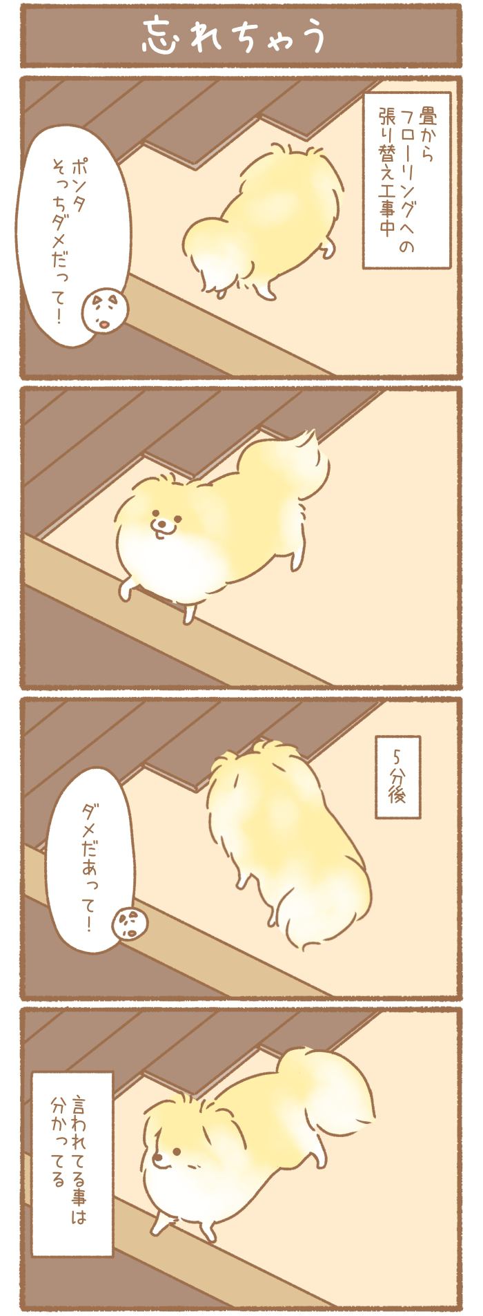 ただの犬好きです。【第291話】