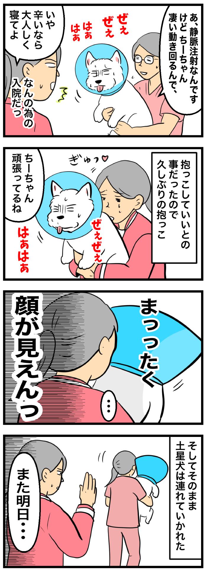 ちーちゃんですけどもっ【第337話】2