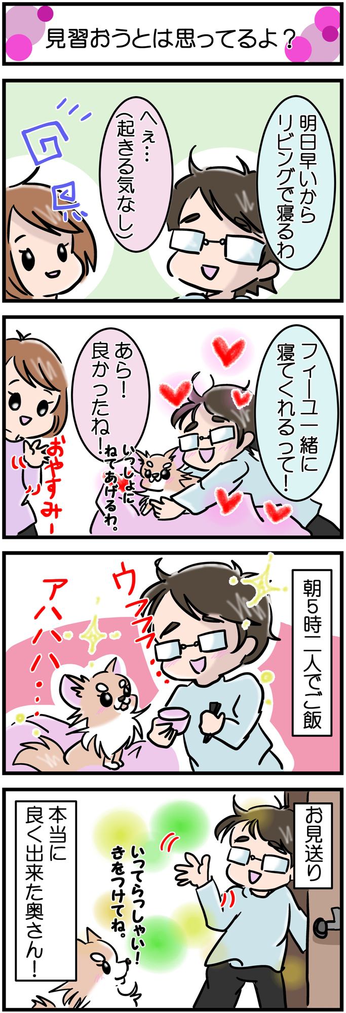 かわうそちわわ。その238