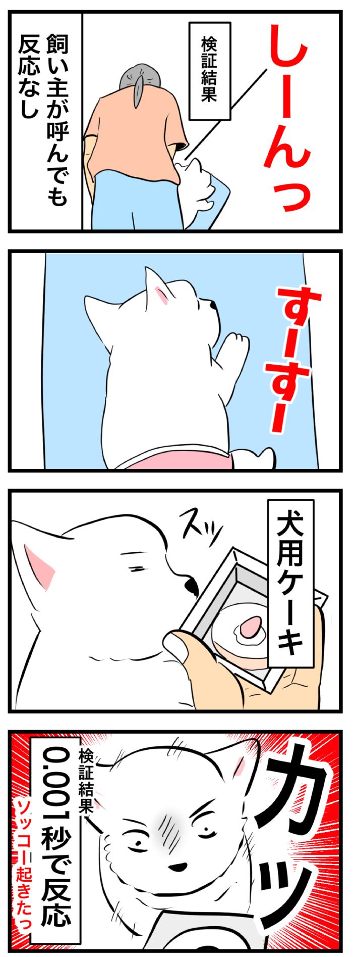 ちーちゃんですけどもっ【第264話】②