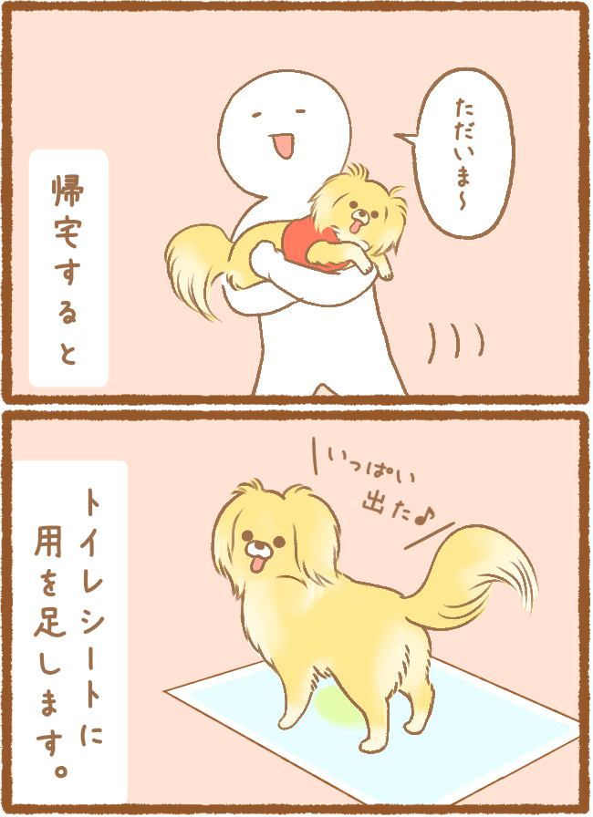 ただの犬好きです。第21話 おしっこ事情2