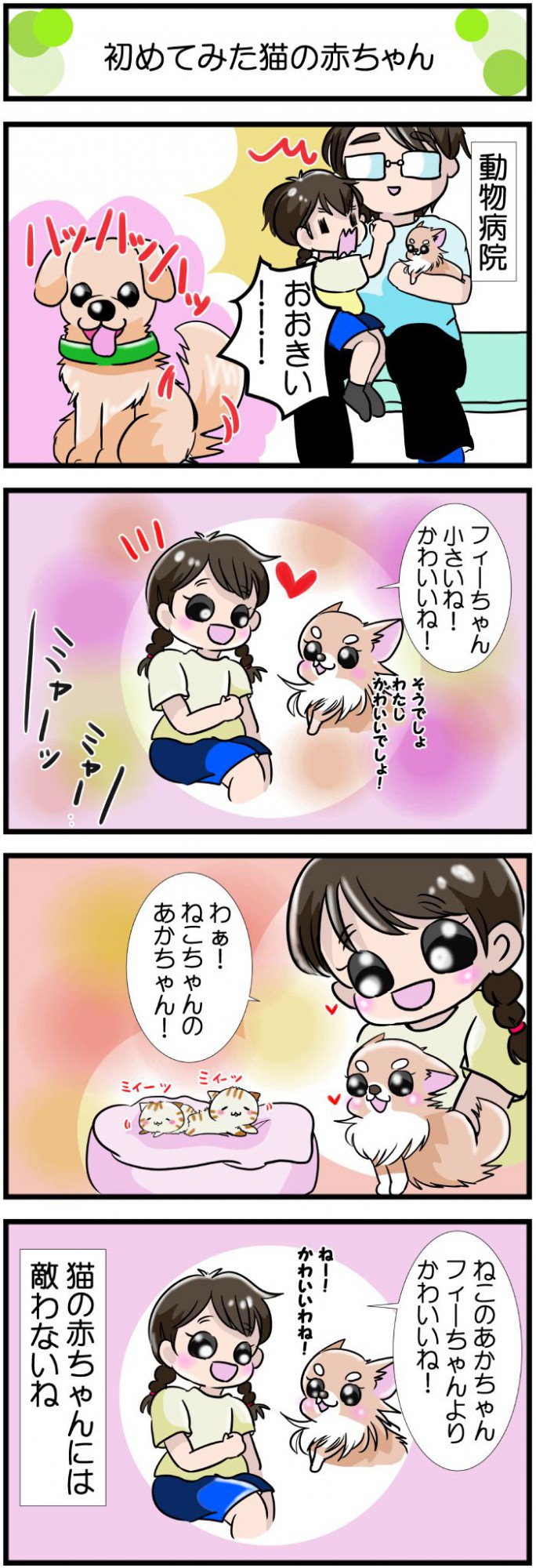 かわうそちわわ。【その502】