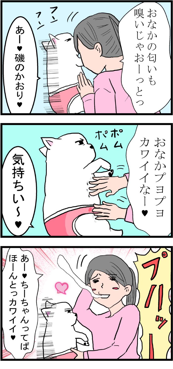 ちーちゃんですけどもっ第81話2枚目