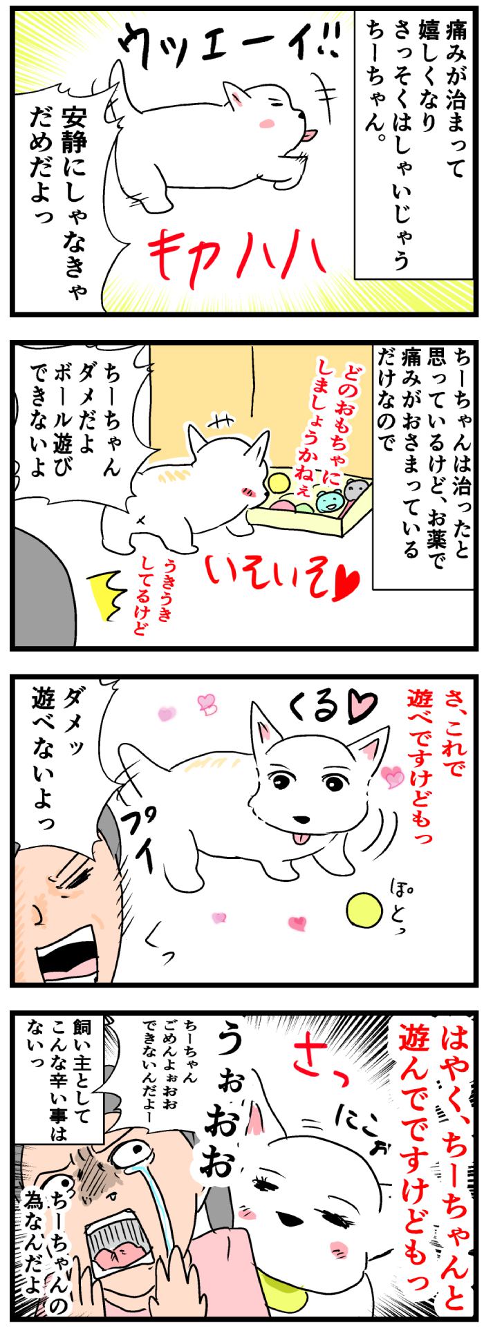 ちーちゃんですけどもっ【第176話】