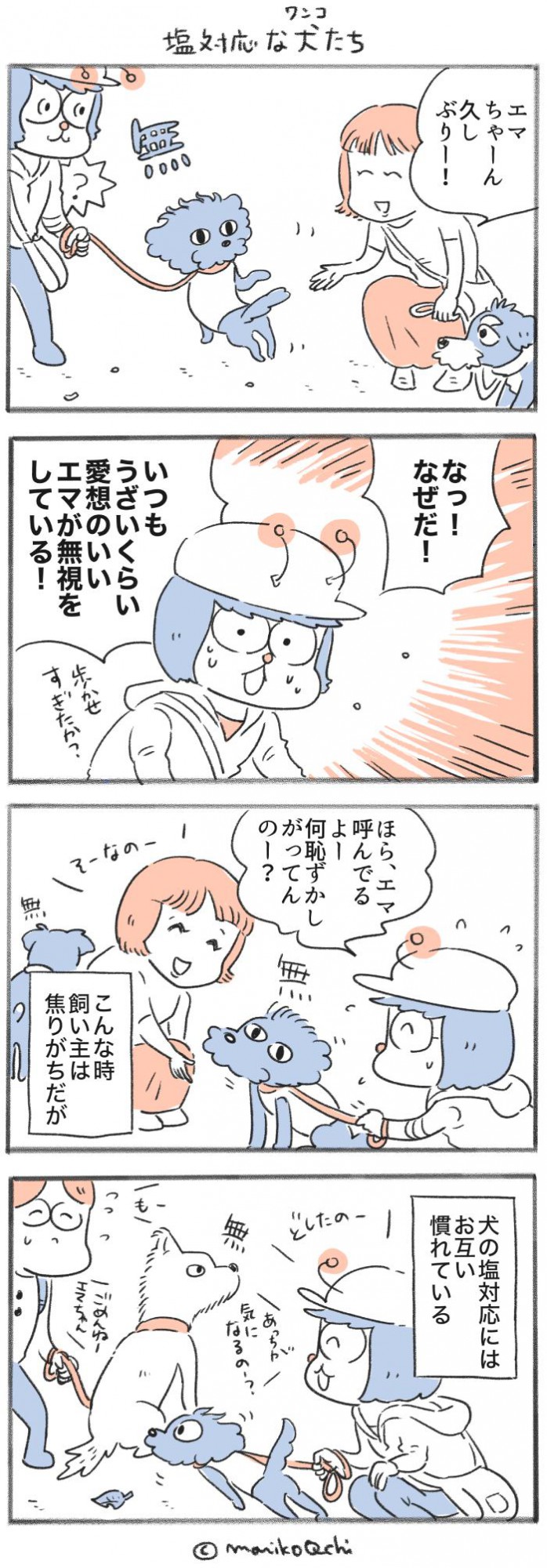 犬と暮らせば【第407話】