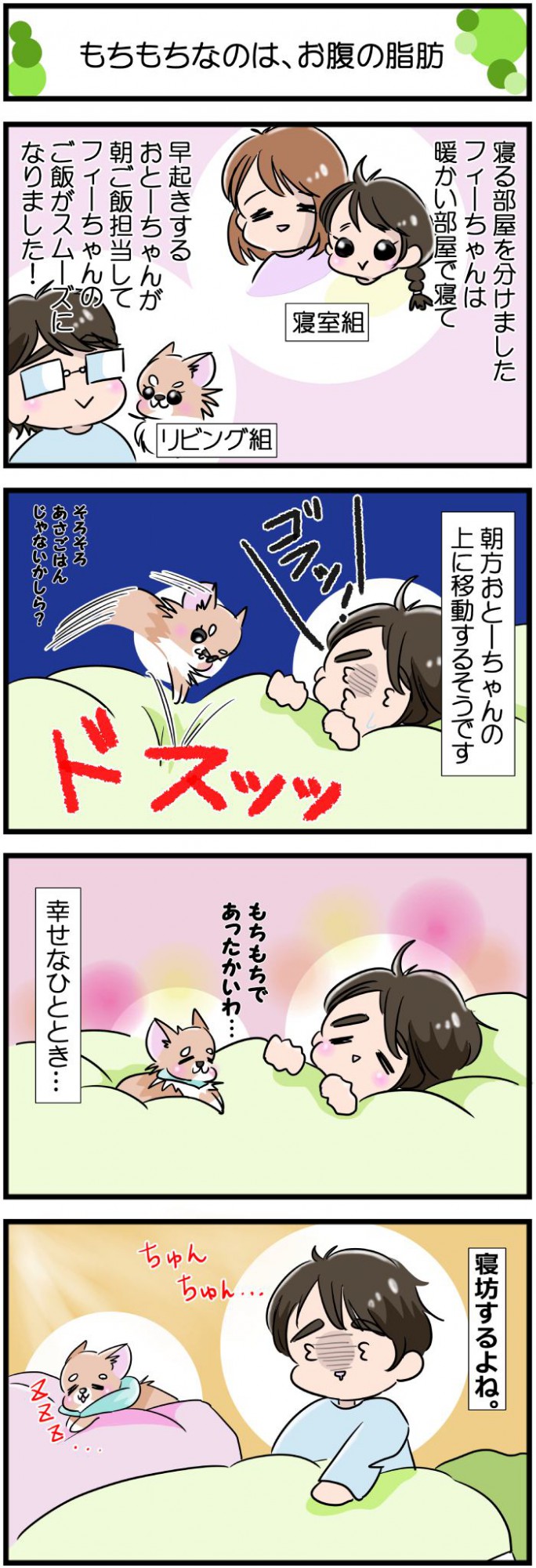 かわうそちわわ。【その588】