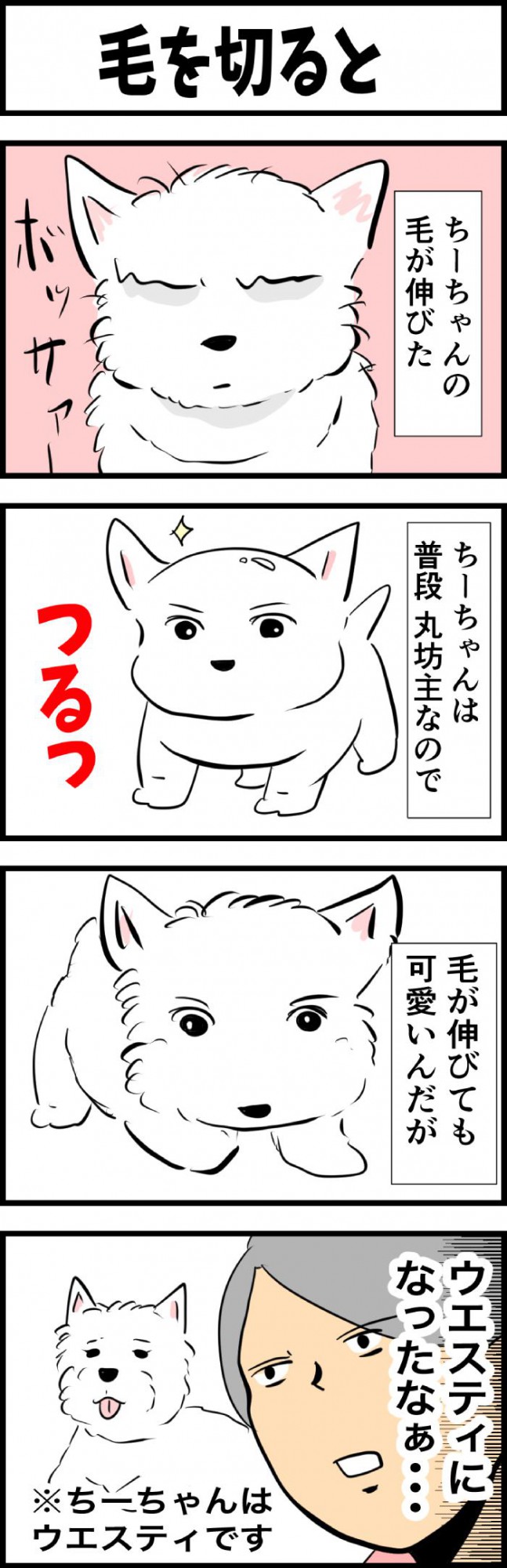 ちーちゃんですけどもっ【第314話 1