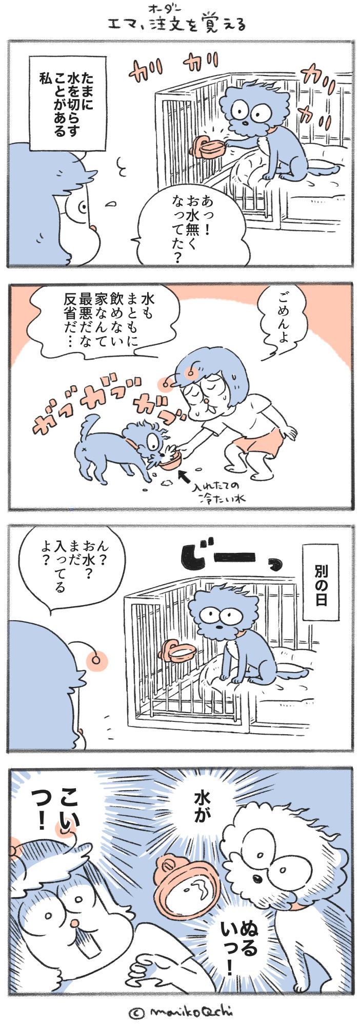 犬と暮らせば【第453話】