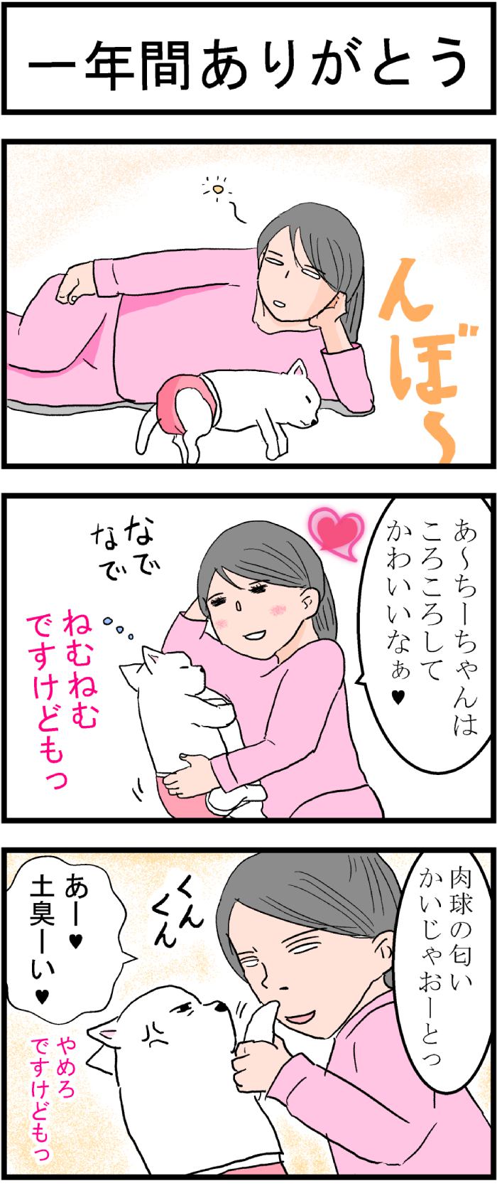 ちーちゃんですけどもっ第81話1枚目