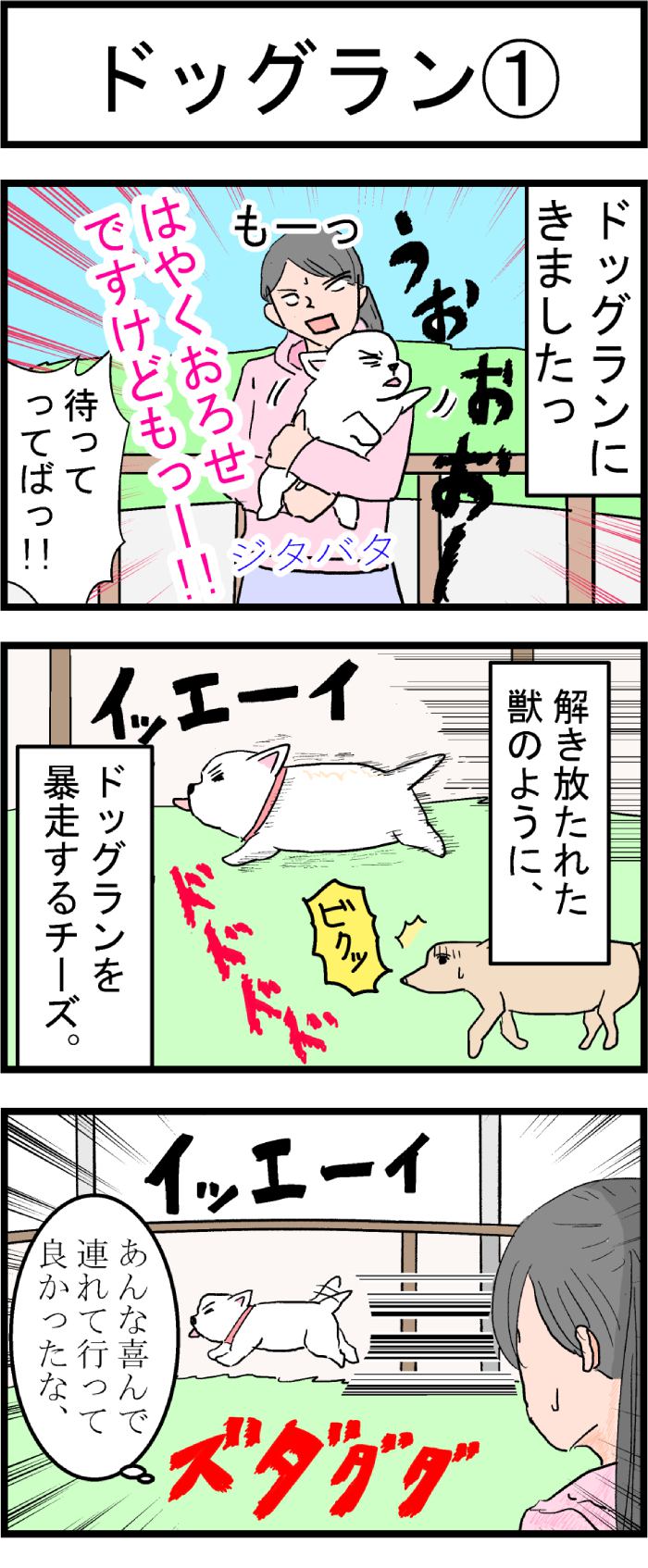 ちーちゃんですけどもっ第77話1枚目