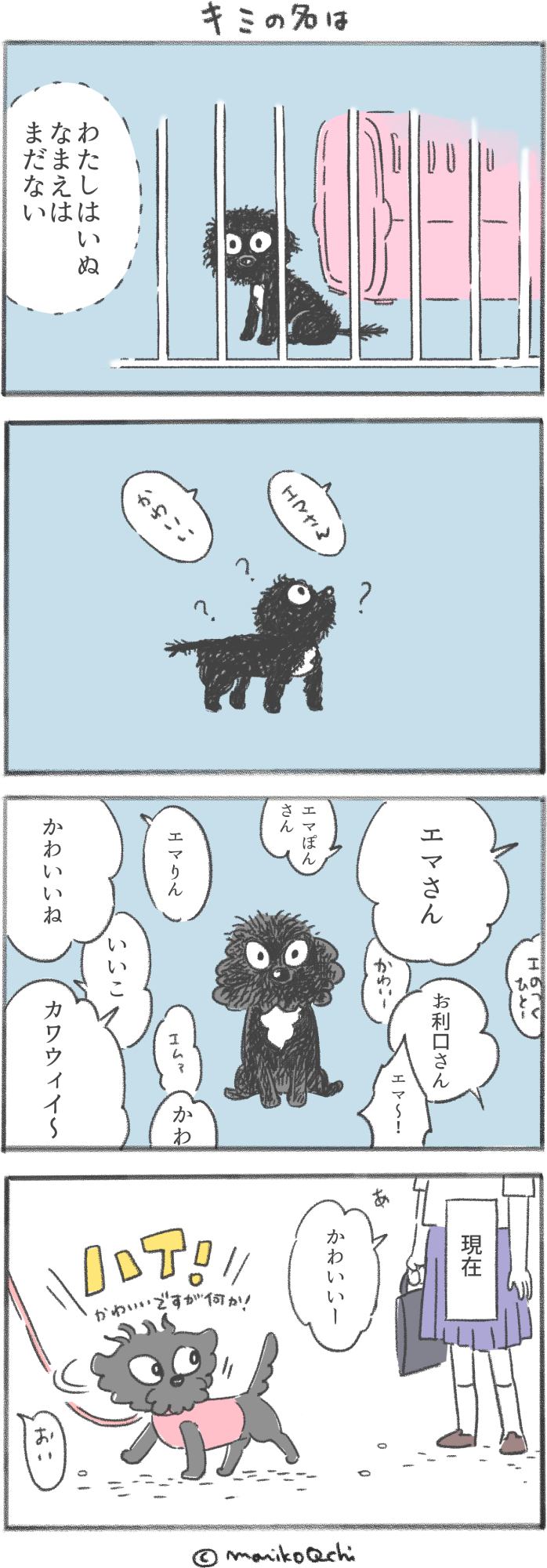 犬と暮らせば第100話