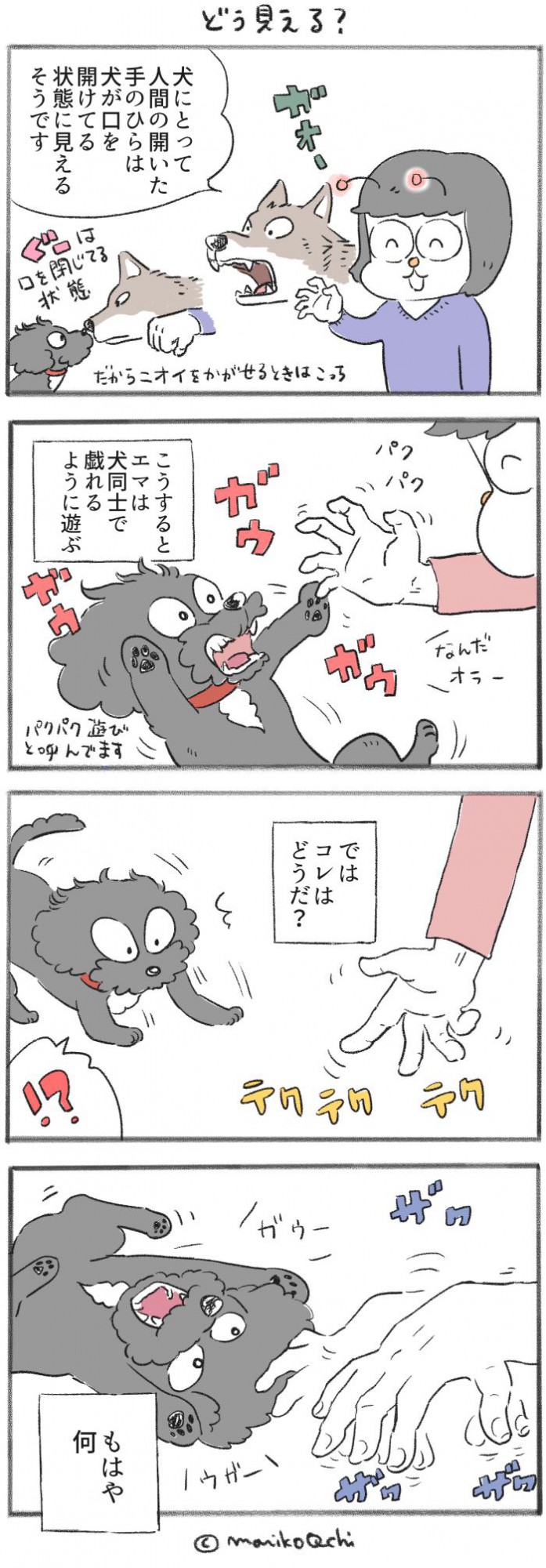 犬と暮らせば【第279話】