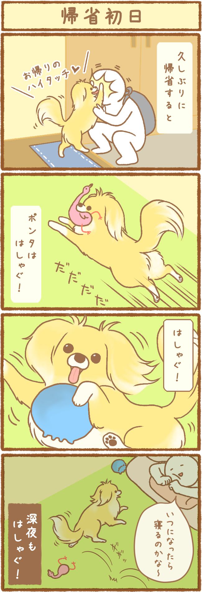 ただの犬好きです。第30話 帰省初日