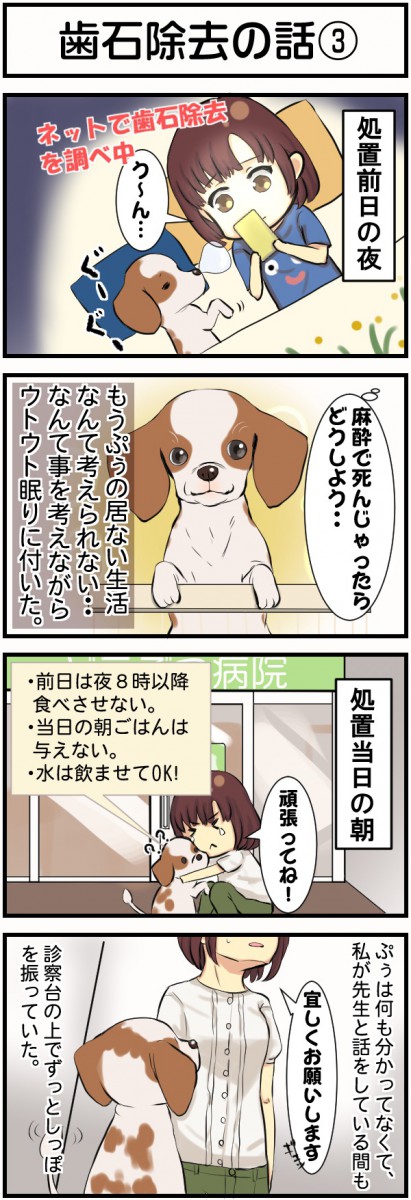 4コマ