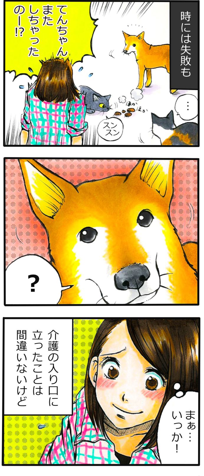 てんてこ、てん。第43話 3枚目