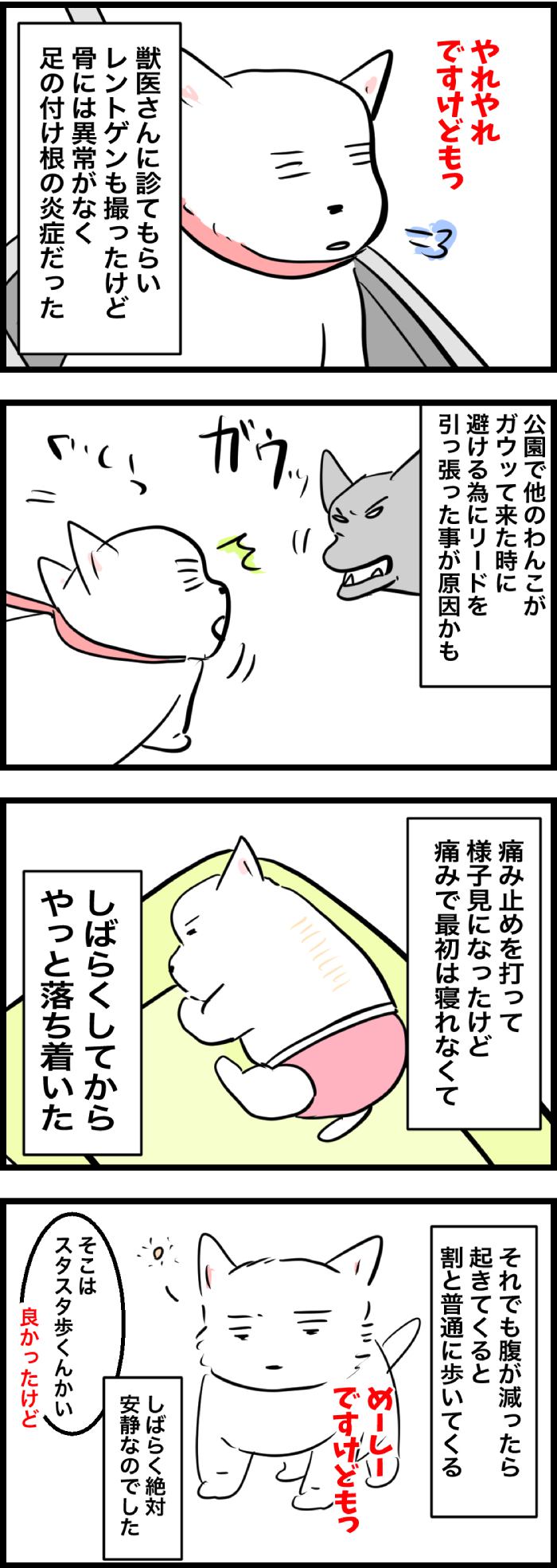 ちーちゃんですけどもっ【第324話】2