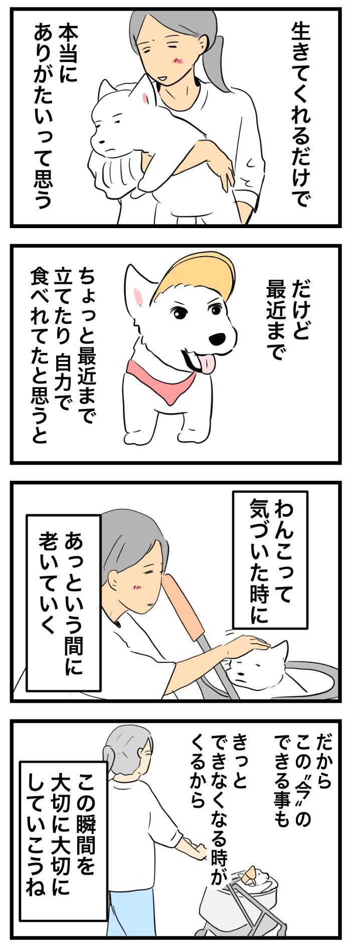 ちーちゃんですけどもっ【第364
話】 2