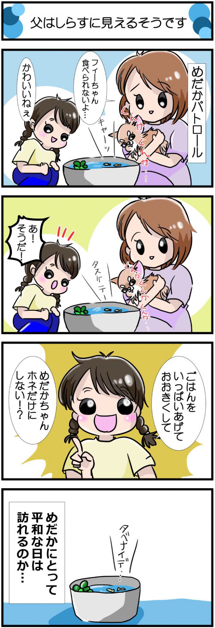 かわうそちわわ。【その488】