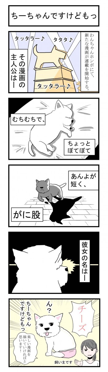 ちーちゃんですけどもっ