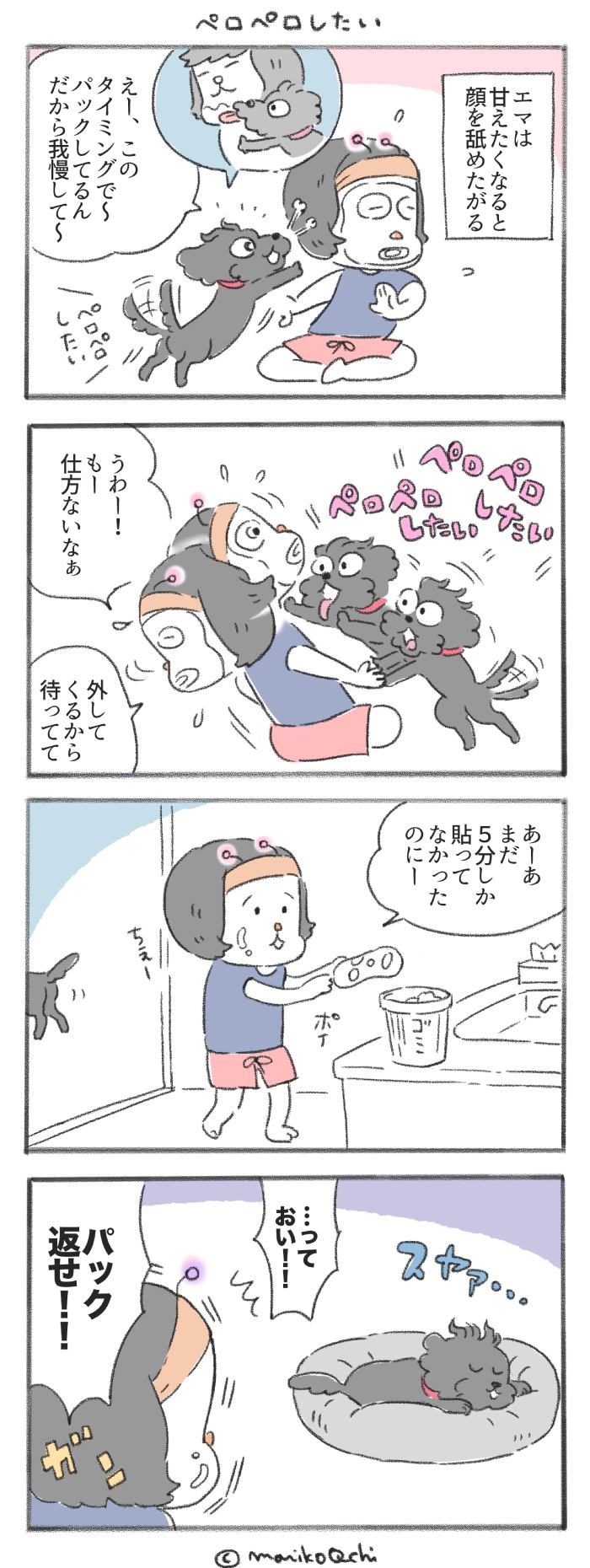 犬と暮らせば【第228話】