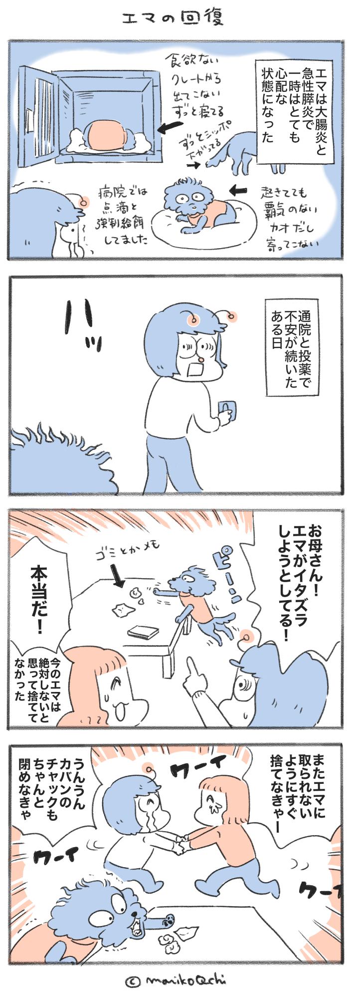犬と暮らせば【第538話】