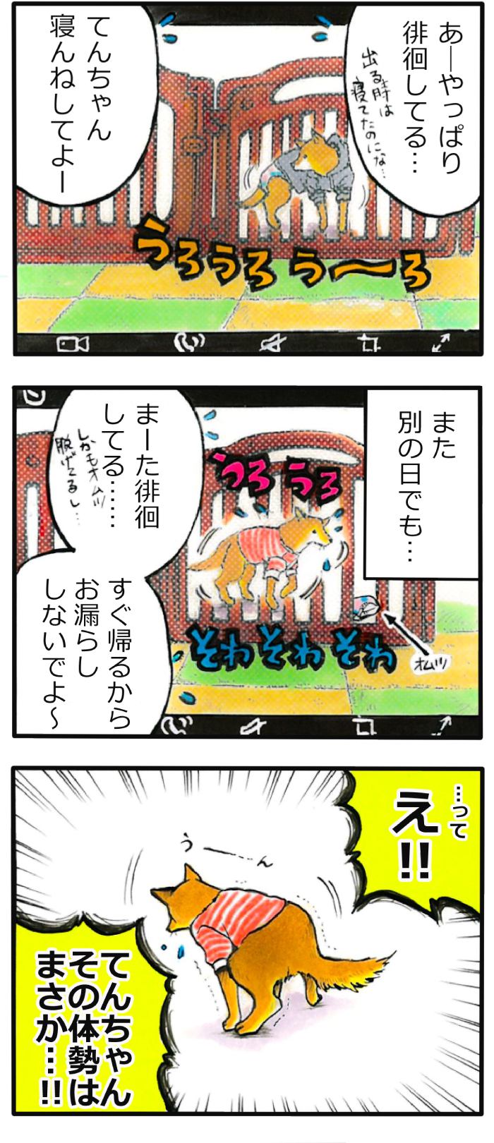 てんてこ、てん。第61話2枚目