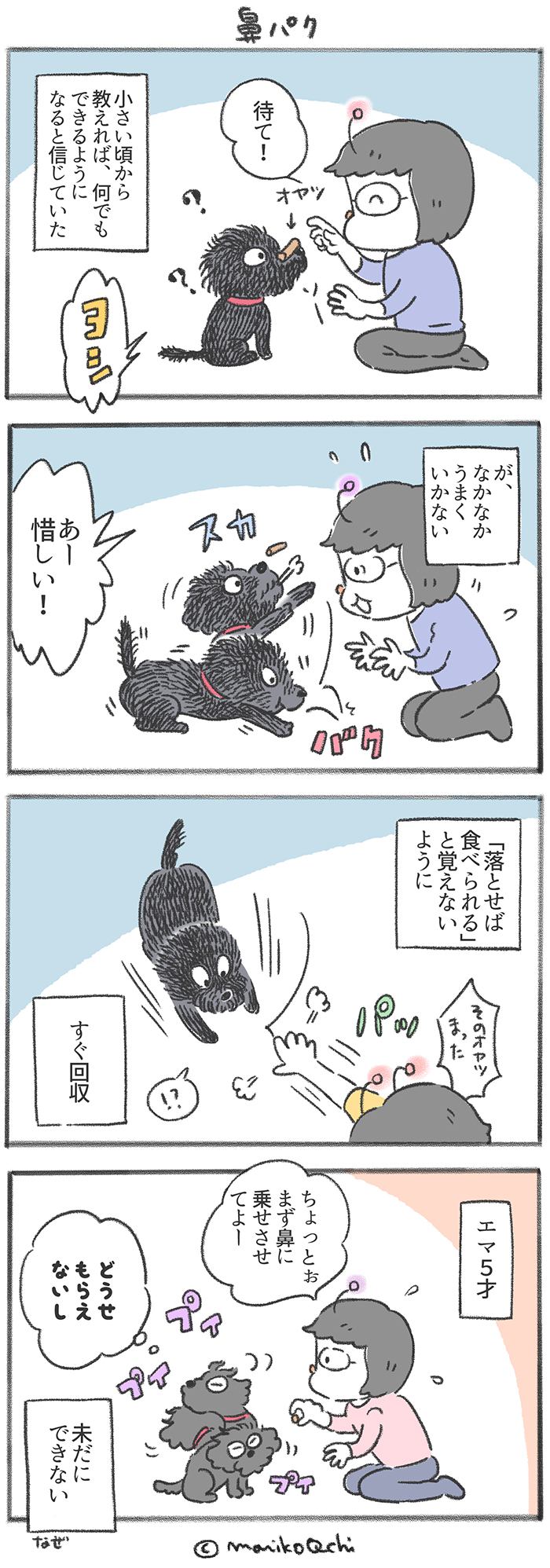 犬と暮らせば　第182話