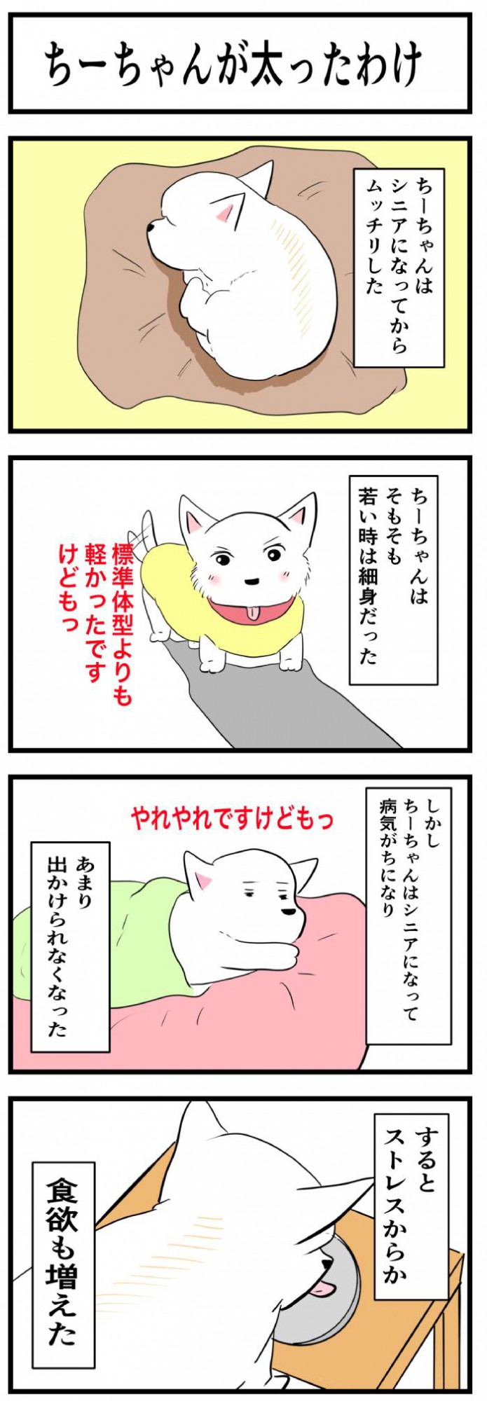 ちーちゃんですけどもっ【第240話】