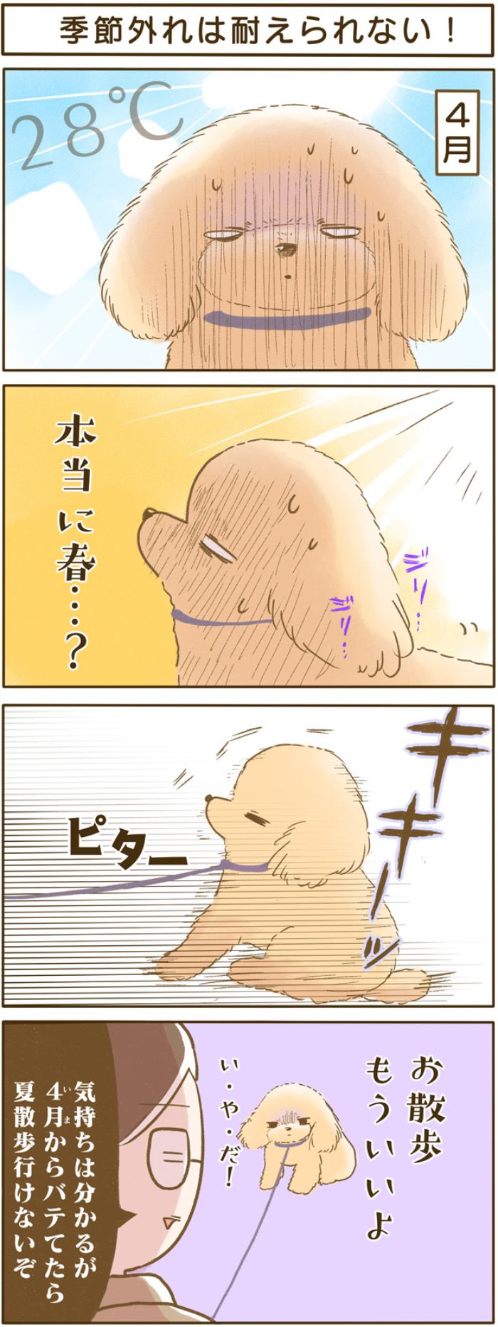 ふわふわぽこ。【第144話】