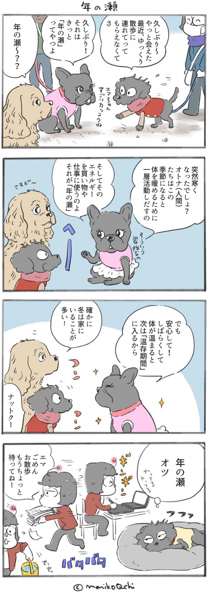 犬と暮らせば【第256話】