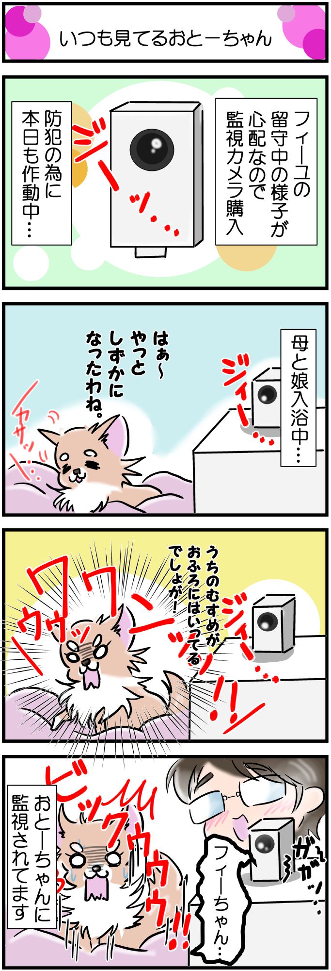 かわうそちわわ。その286