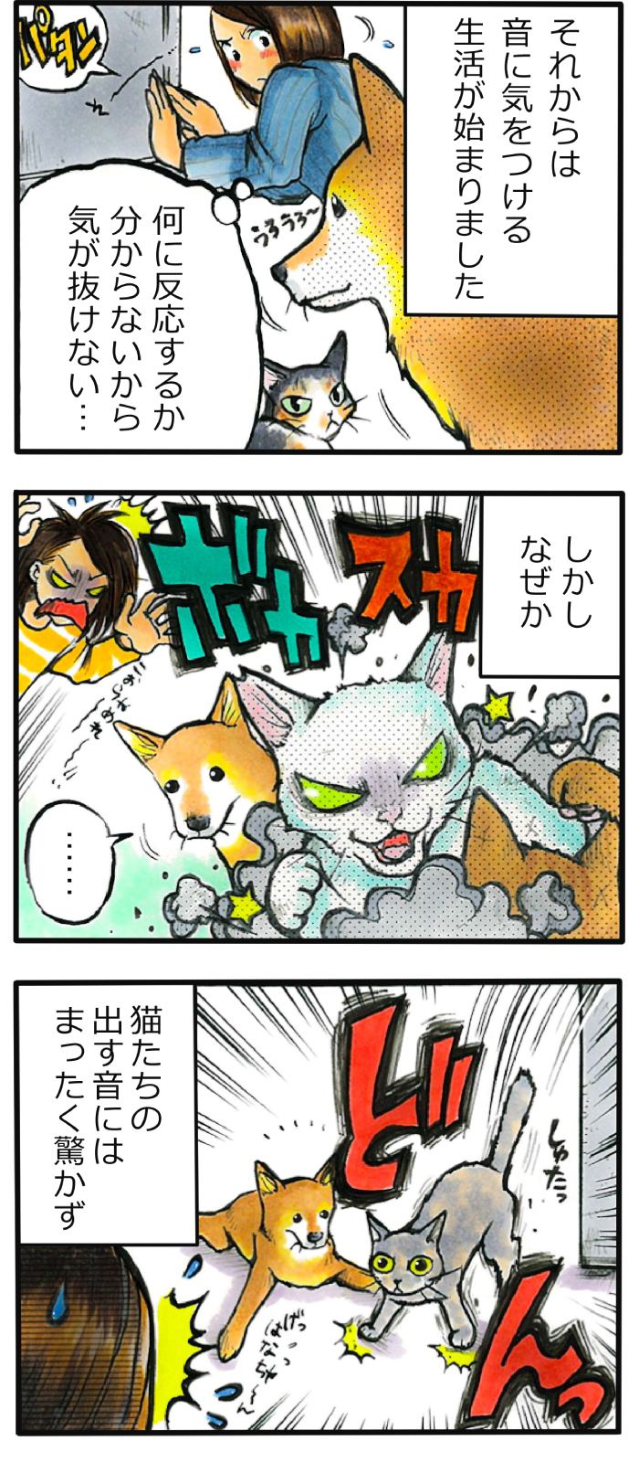 てんてこ、てん。第56話2枚目