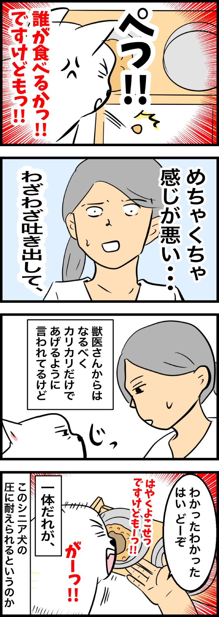 ちーちゃんですけどもっ【第325話】２