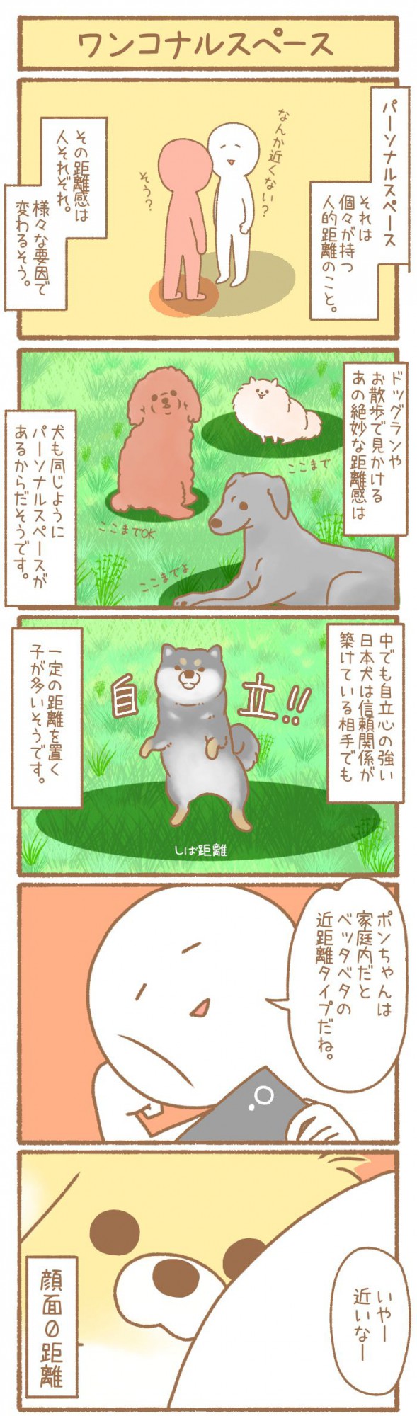 ただの犬好きです。【第174話】