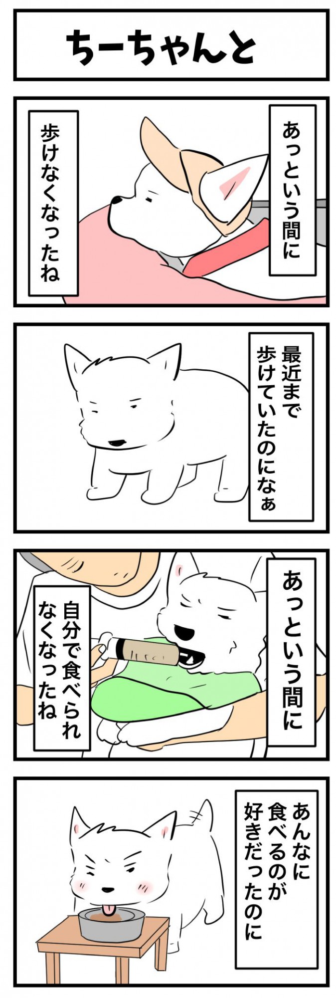 ちーちゃんですけどもっ【第369話】 1