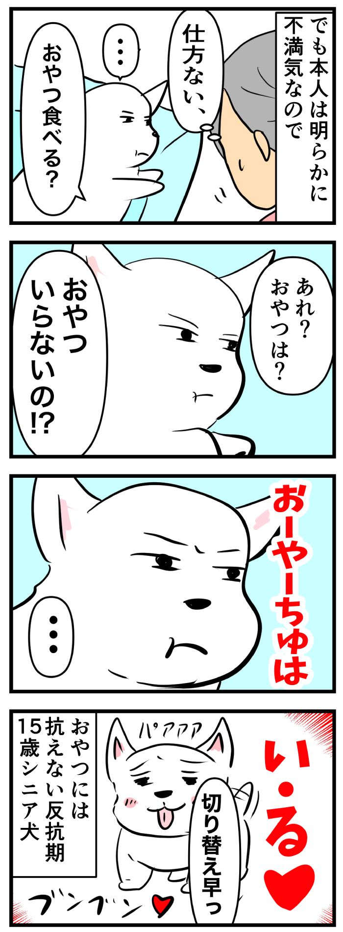 ちーちゃんですけどもっ【第281話】２