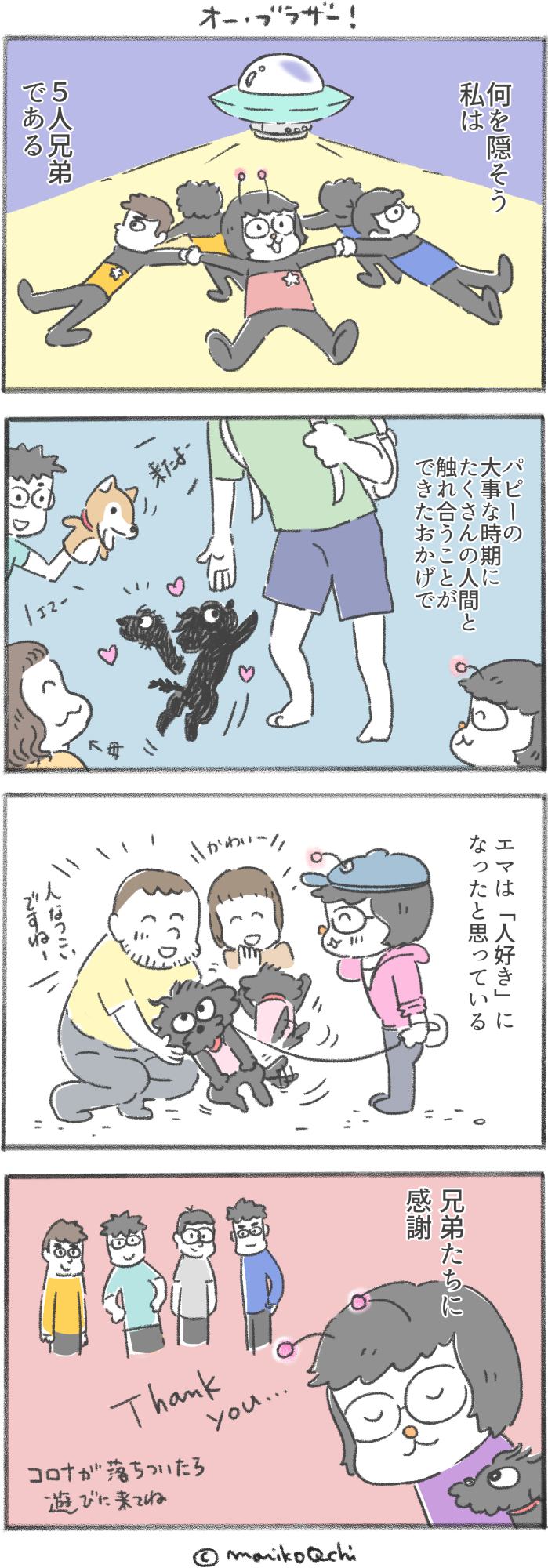 犬と暮らせば第96話