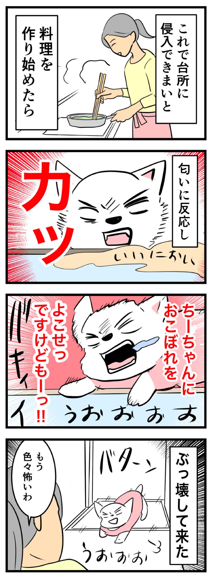 ちーちゃんですけどもっ【第249話】