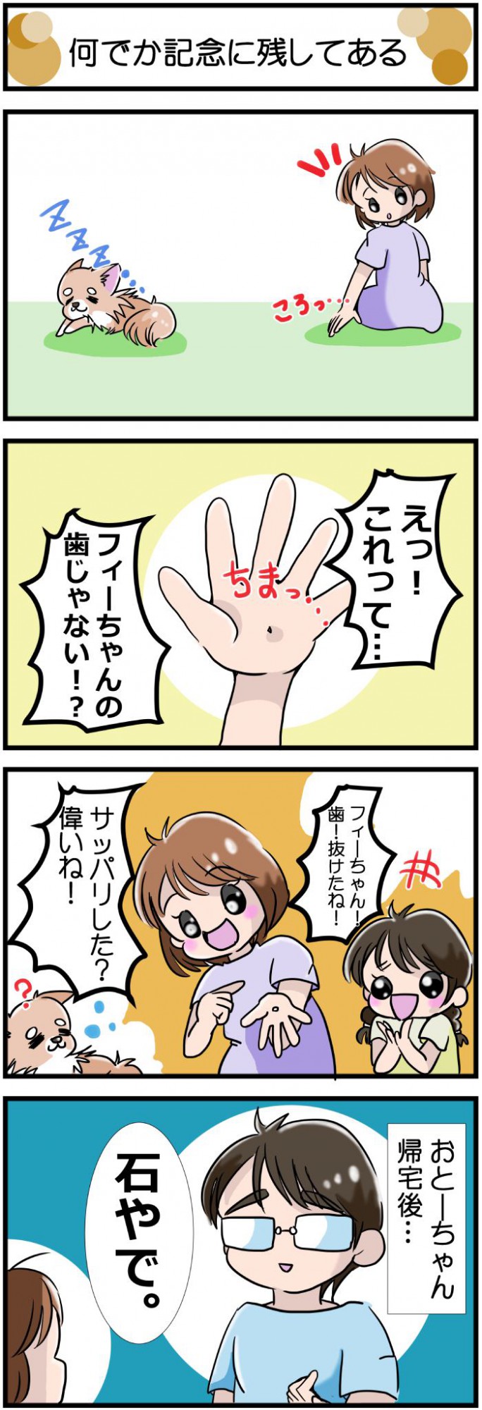 かわうそちわわ。【その478】