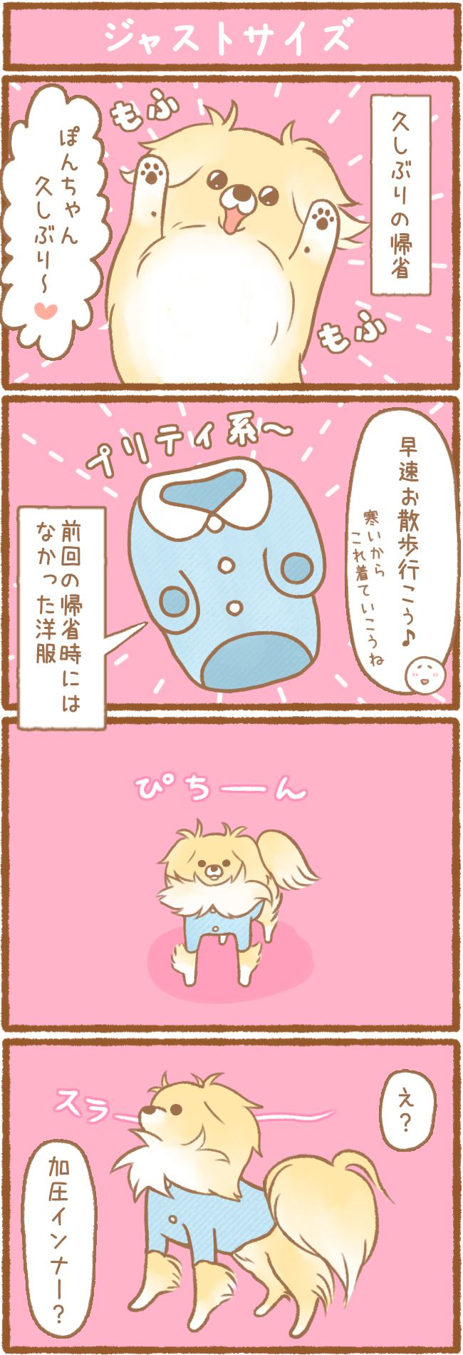 ただの犬好きです。第77話 ジャストサイズ 