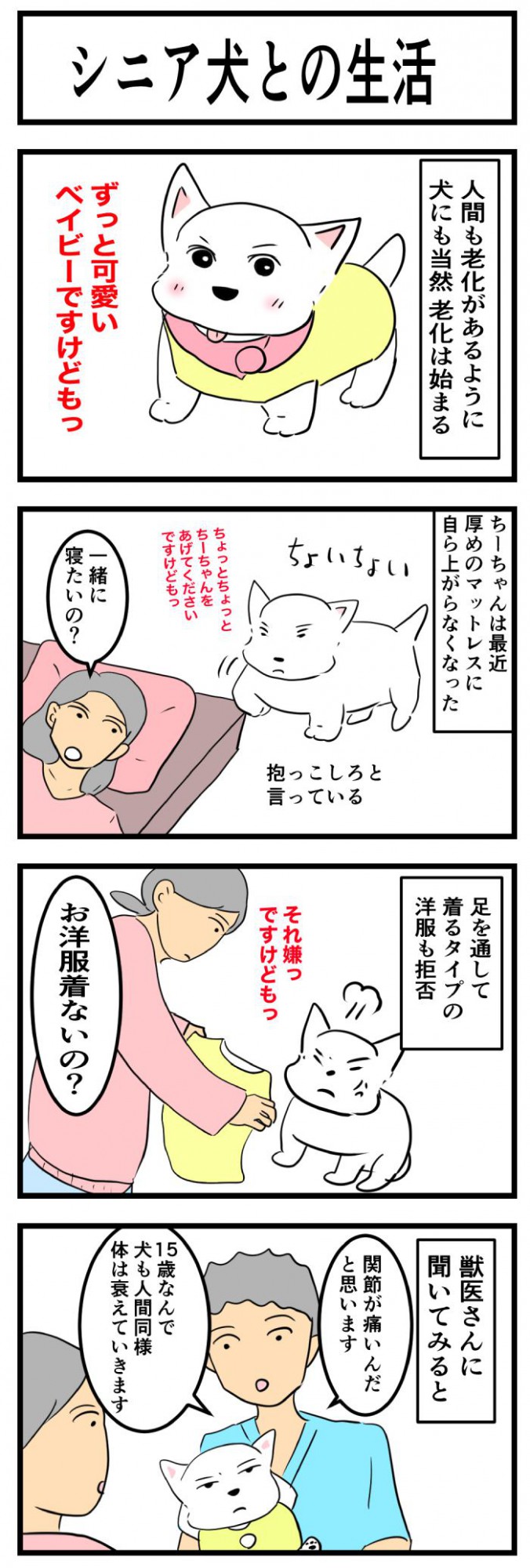 ちーちゃんですけどもっ【第243話】