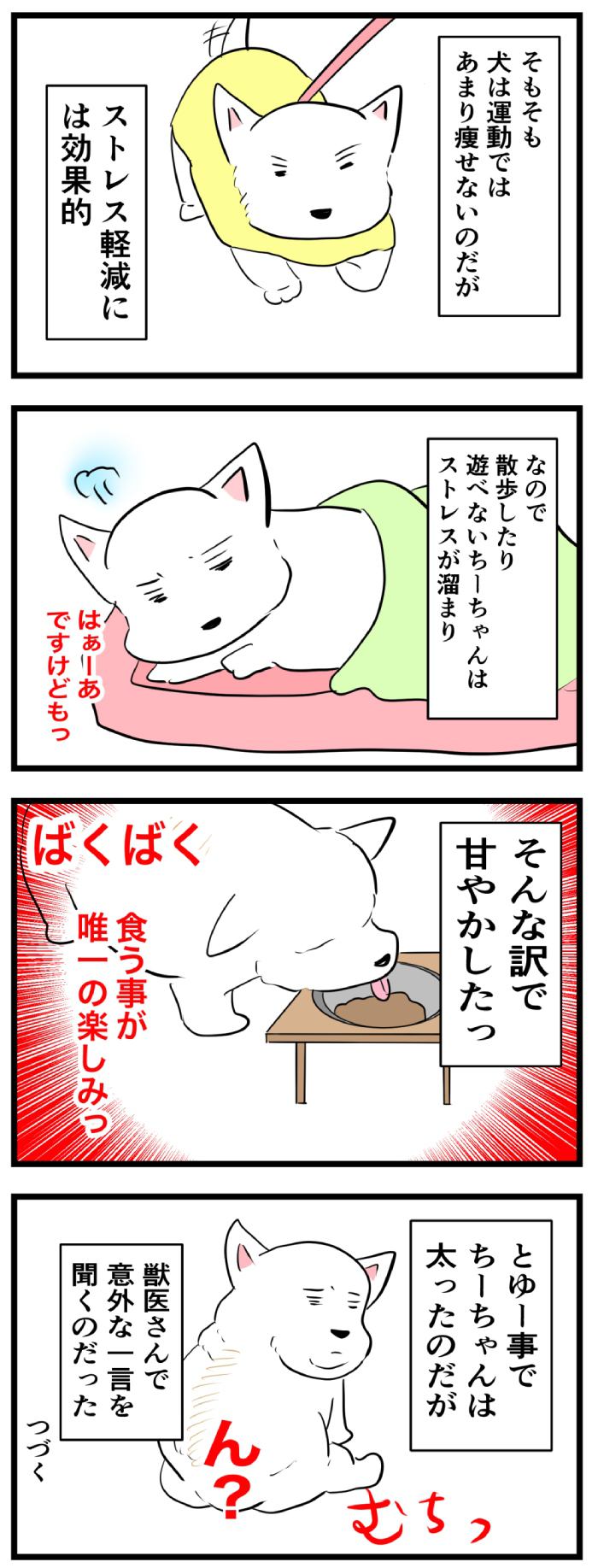 ちーちゃんですけどもっ【第240話】