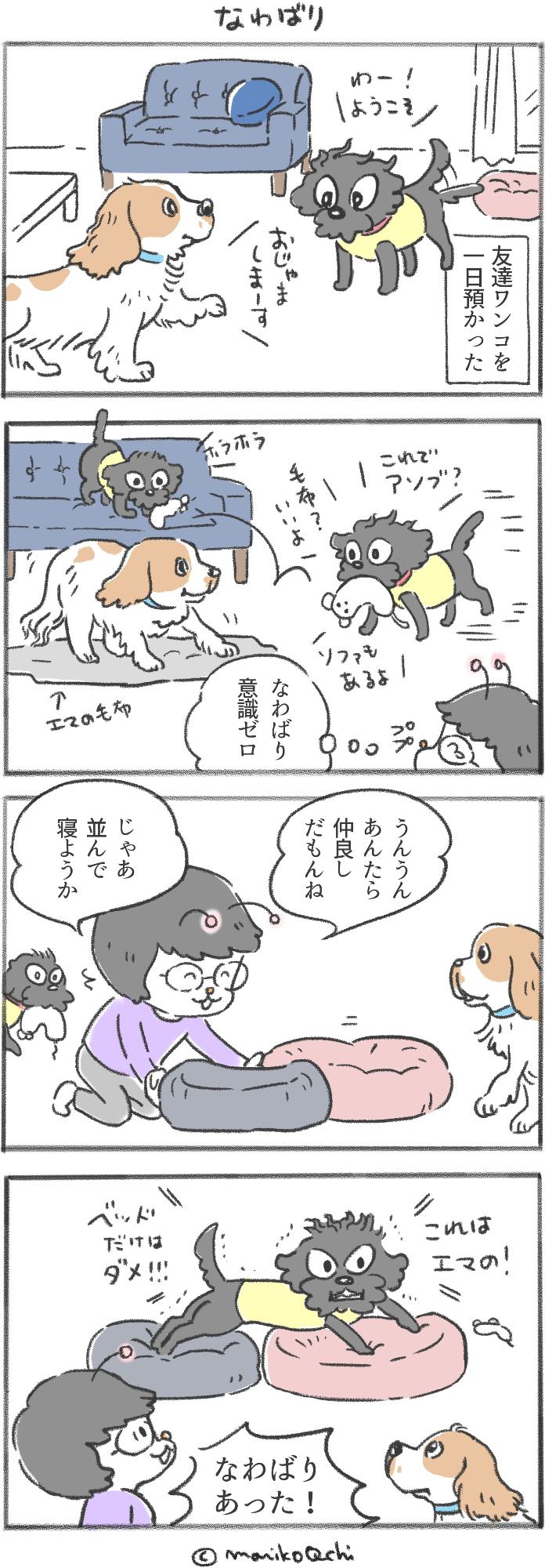 犬と暮らせば第46話