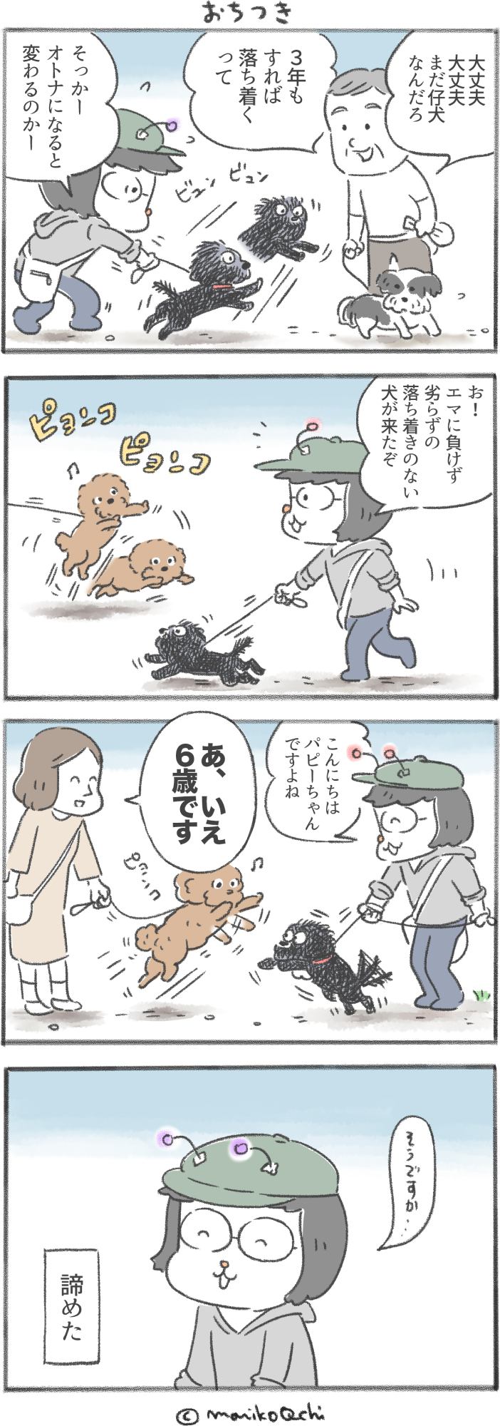 犬と暮らせば第126話