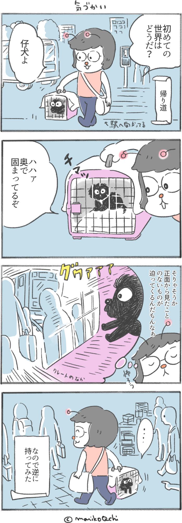 犬と暮らせば第93話