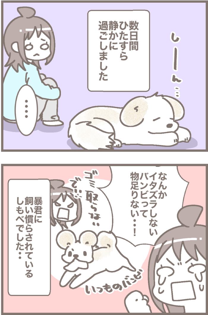 うちの王様にはどうしてもあらがえない第41話 2枚目