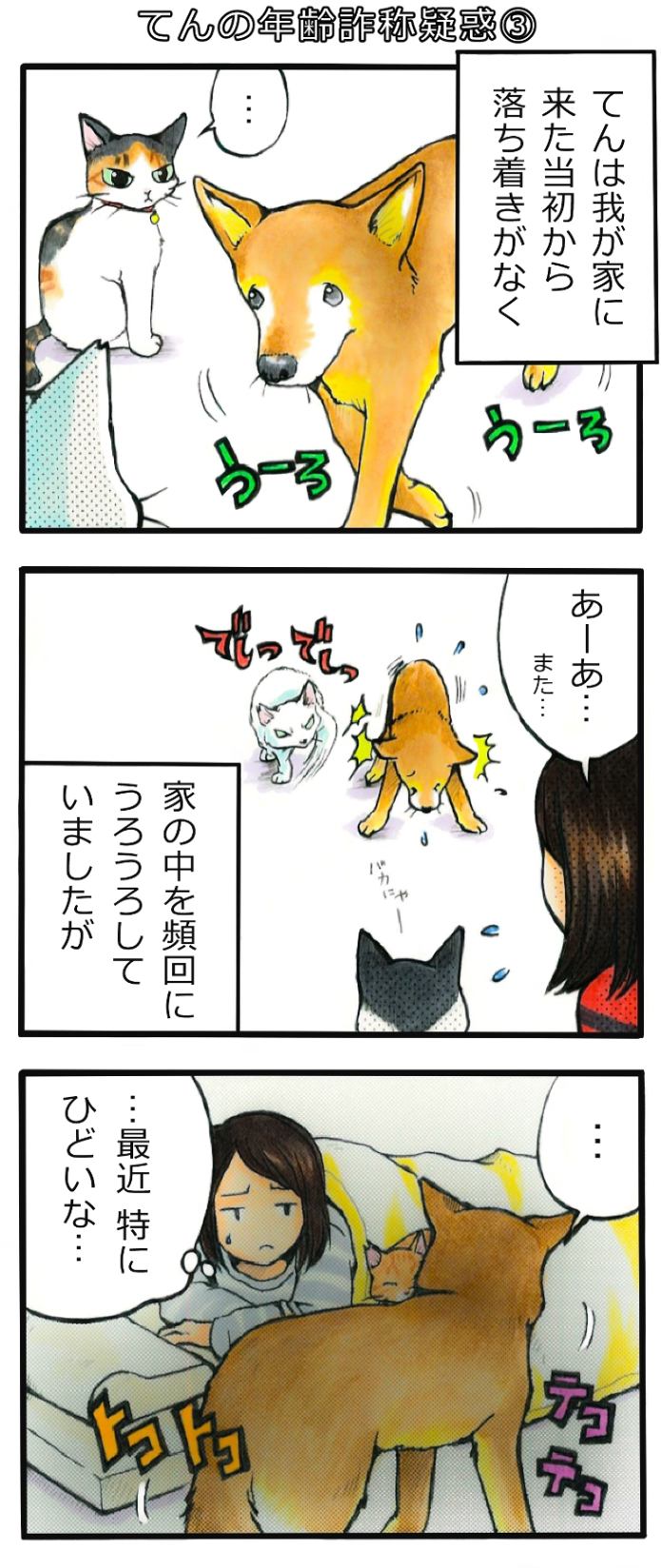 てんてこ、てん。第39話 1枚目