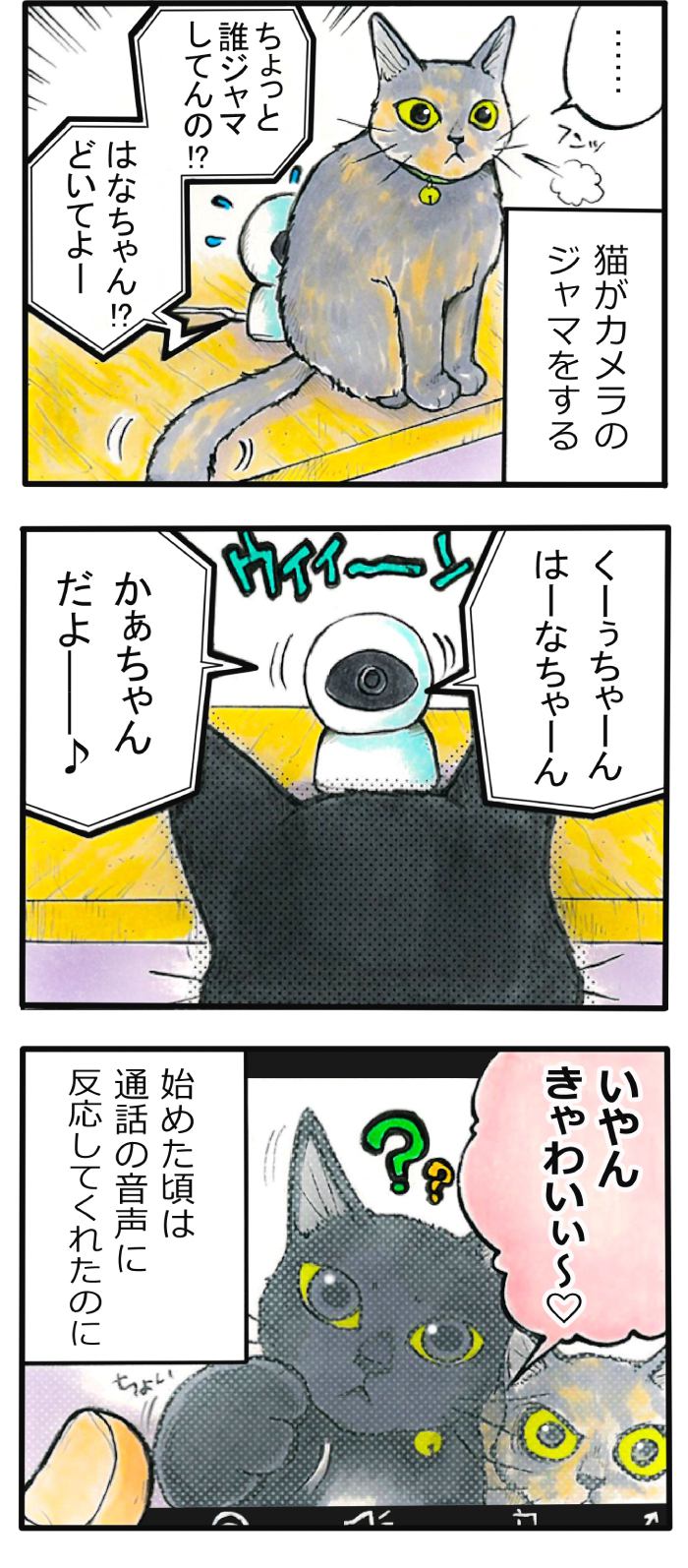 てんてこ、てん。第62話2枚目